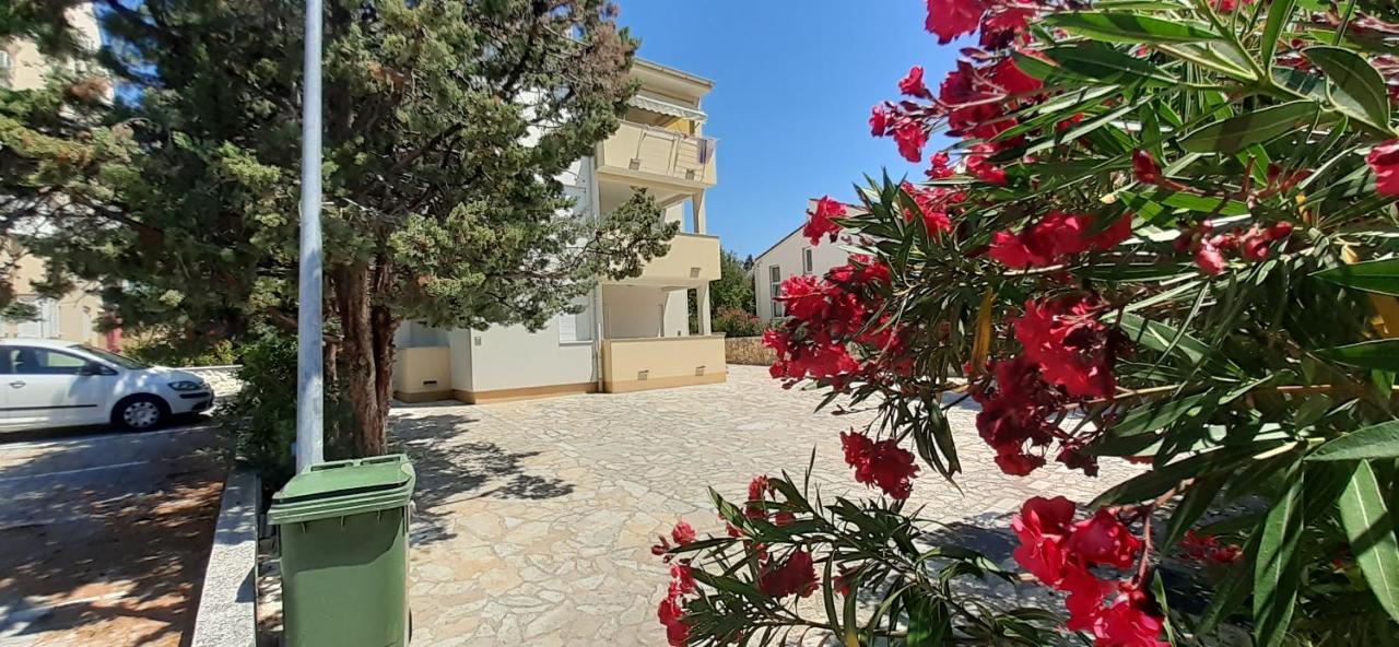 נובליה Apartments President מראה חיצוני תמונה